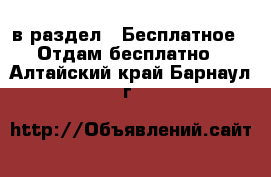  в раздел : Бесплатное » Отдам бесплатно . Алтайский край,Барнаул г.